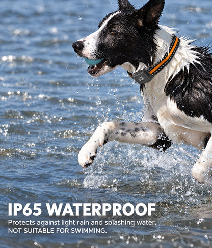 4G GPS Pet Tracker with Safe Zone Alerts & Health Monitoring